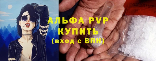 ГАЛЛЮЦИНОГЕННЫЕ ГРИБЫ Горняк