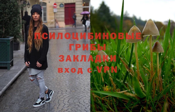 PSILOCYBIN Арсеньев
