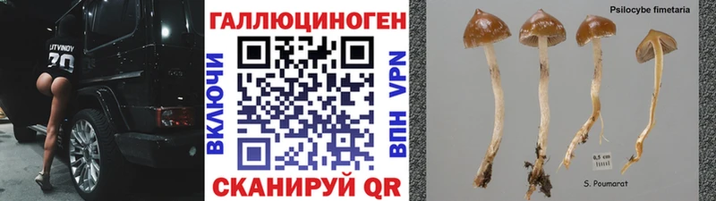 Галлюциногенные грибы мухоморы Нововоронеж